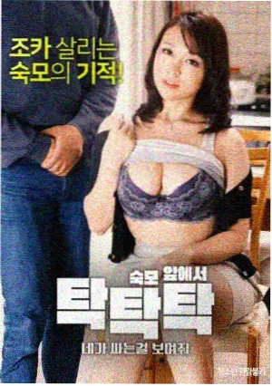 绫波丽角色档案配图